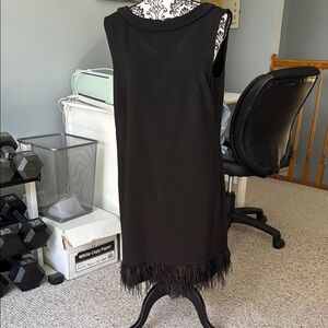 Beautiful Ann Taylor dress with feathers. Size 12